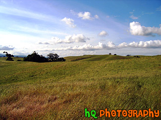 Rolling Hills in California