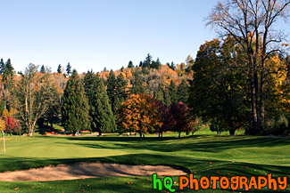 Scenic Landscape of Golf Course