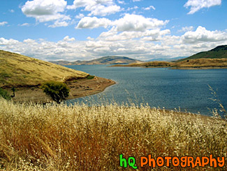 Landscape Lake Scene