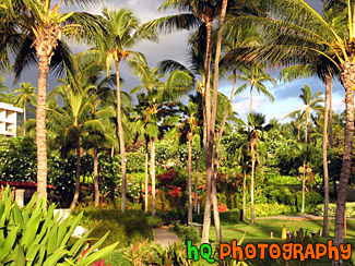 Palm Trees (Makena Resort, Maui)