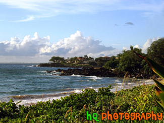 Waves of Maui