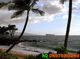 Maui Beach, Palm Trees & Ocean
