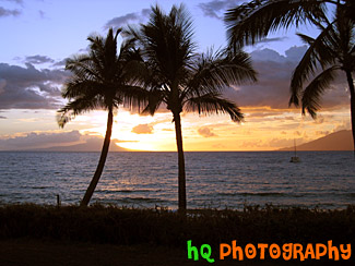 Maui Sunset