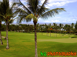 Maui Golf Course