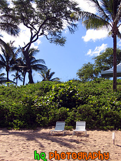 Two Lawn Chairs on Beach