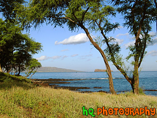 View of Maui & Ocean