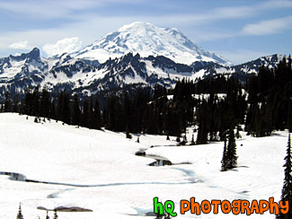 Mt. Rainier at Snowy Tipsoo Lake