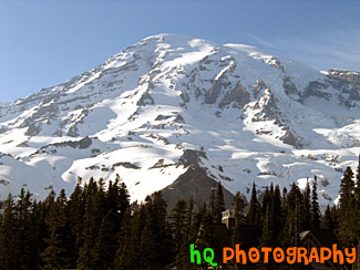 Mount Rainier at Paradise Park