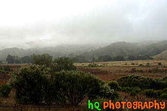 Foggy Landscape Scene