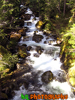 Nickel Creek, Mt. Rainier National Forest