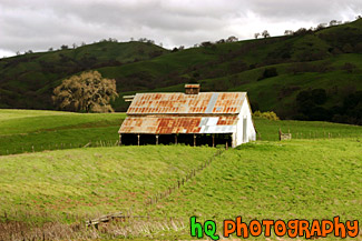 Green Grass and Old Barn