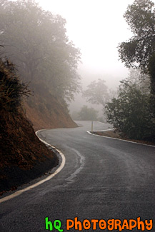 Curvy Road with Fog