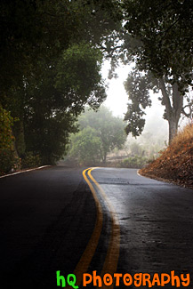 Road with Fog & Shadows