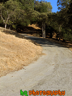 Shadows on Curvy Road