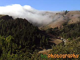 Fog Rolling over Road in San Francisco