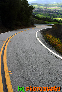 Road Leading to Green San Jose Hills