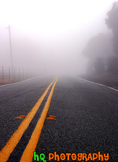 Endless Foggy Road