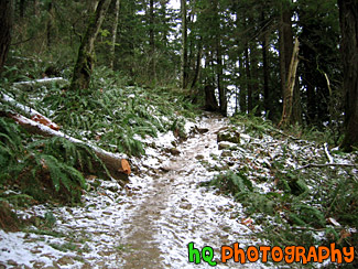 Mt. Peak Icy Trail