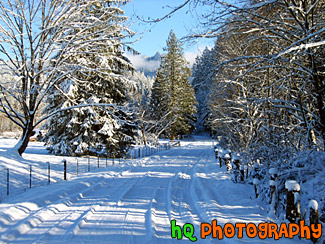 Beautiful Winter Snow Scene