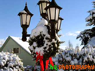 Christmas Wreath in Snow