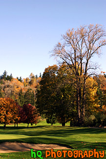 Fall Colors on Golf Course