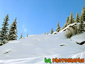 Blue Sky & Snow