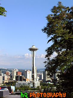 Tree & Space Needle