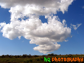 Bright Puffy Clouds