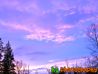 Pink and Purple Sunset