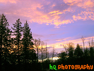 Colorful Pink Washington Sunset