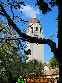 Stanford University, California