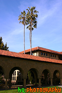 Scenic Stanford University Scene