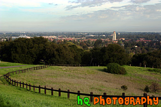 Stanford University Hill Scene