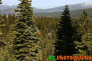 Tahoe Ski Resort View