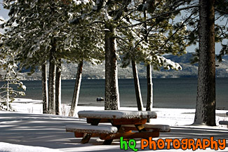 Picnic Table & Lake Tahoe Snow