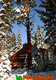 Cabin Scene in Lake Tahoe