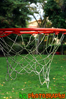 Basketball Hoop