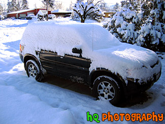 Ford Escape Covered in Snow