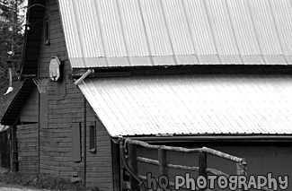 Basketball Hoop on Barn black and white picture