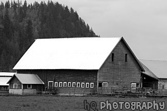 Red Barn on Farm black and white picture