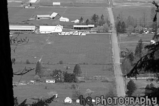 Farm View from Mt. Peak black and white picture