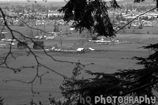 View of Farms & Enumclaw black and white picture