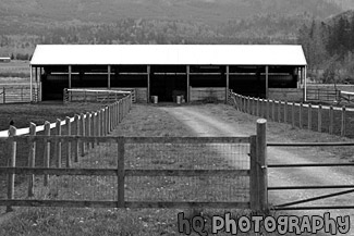 Farm Shed & Gate black and white picture