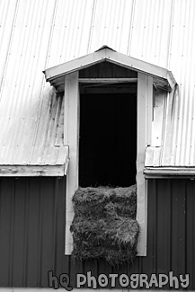 Hay & Barn black and white picture