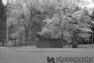 Baseball Backstop black and white picture