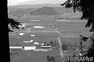 View of Country Land black and white picture