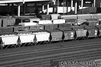 Train Cars black and white picture