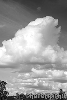 Big Puffy Cloud & Blue Sky black and white picture