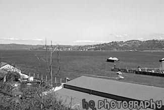 Tacoma Commencement Bay black and white picture