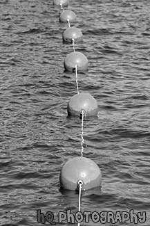 Orange Buoys black and white picture